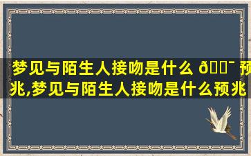 梦见与陌生人接吻是什么 🐯 预兆,梦见与陌生人接吻是什么预兆女性